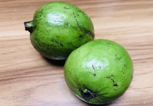 Benefits and Risks of Feeding Guava