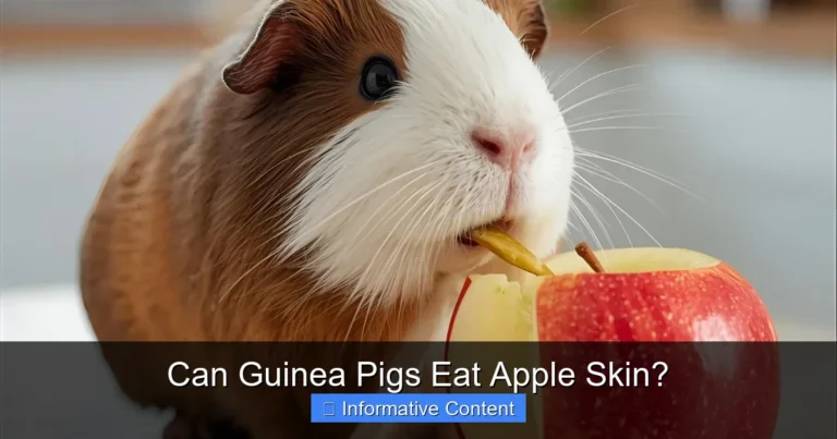 Can Guinea Pigs Eat Apple Skin?