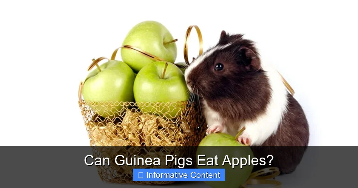 Can Guinea Pigs Eat Apples?
