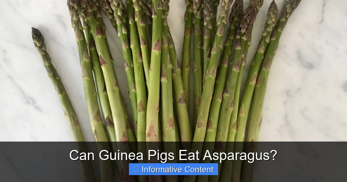 Can Guinea Pigs Eat Asparagus?