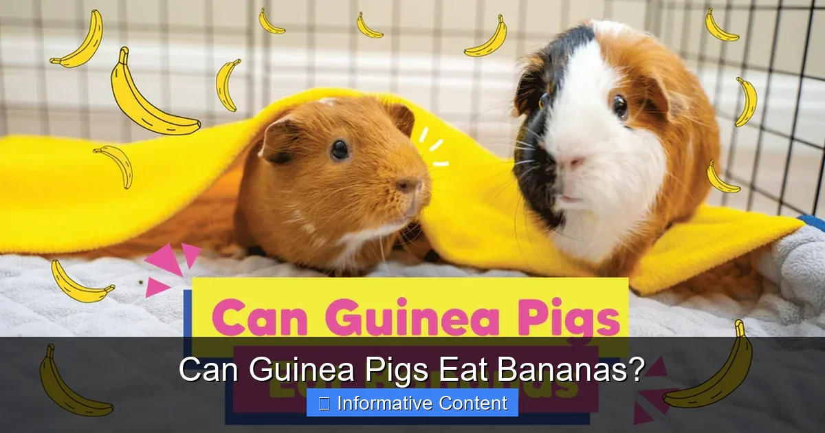Can Guinea Pigs Eat Bananas?