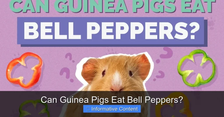 Can Guinea Pigs Eat Bell Peppers?