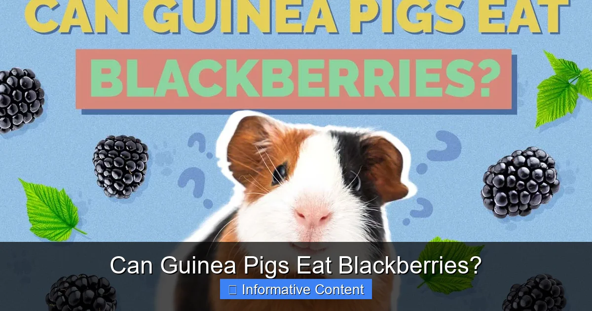 Can Guinea Pigs Eat Blackberries?