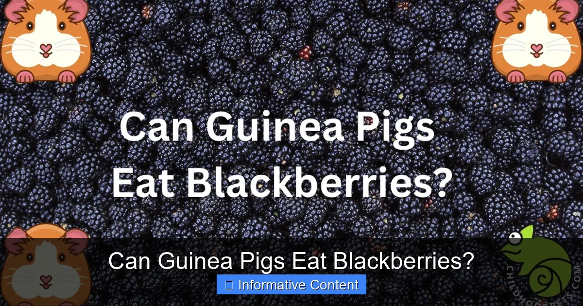 Can Guinea Pigs Eat Blackberries?
