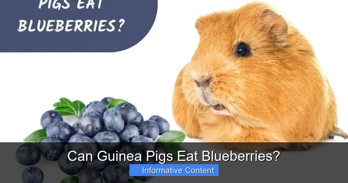 Can Guinea Pigs Eat Blueberries?