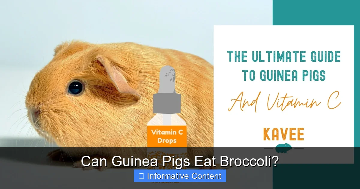 Can Guinea Pigs Eat Broccoli?