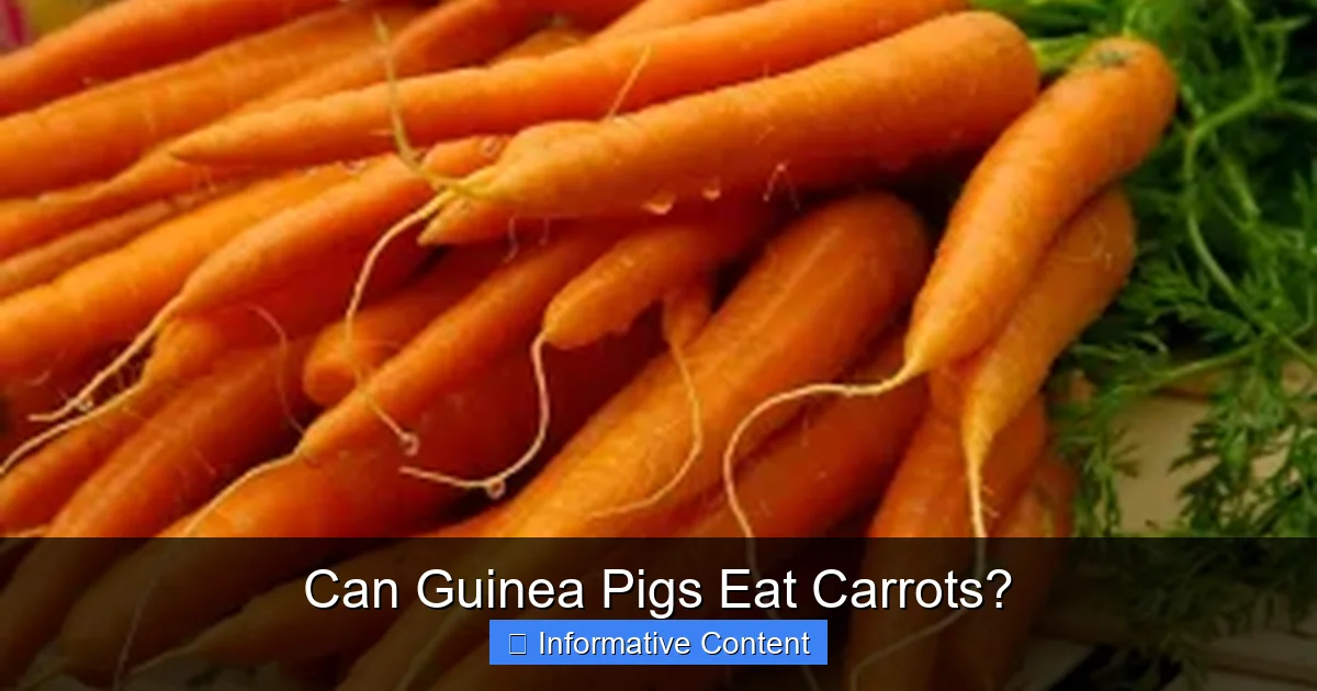 Can Guinea Pigs Eat Carrots?