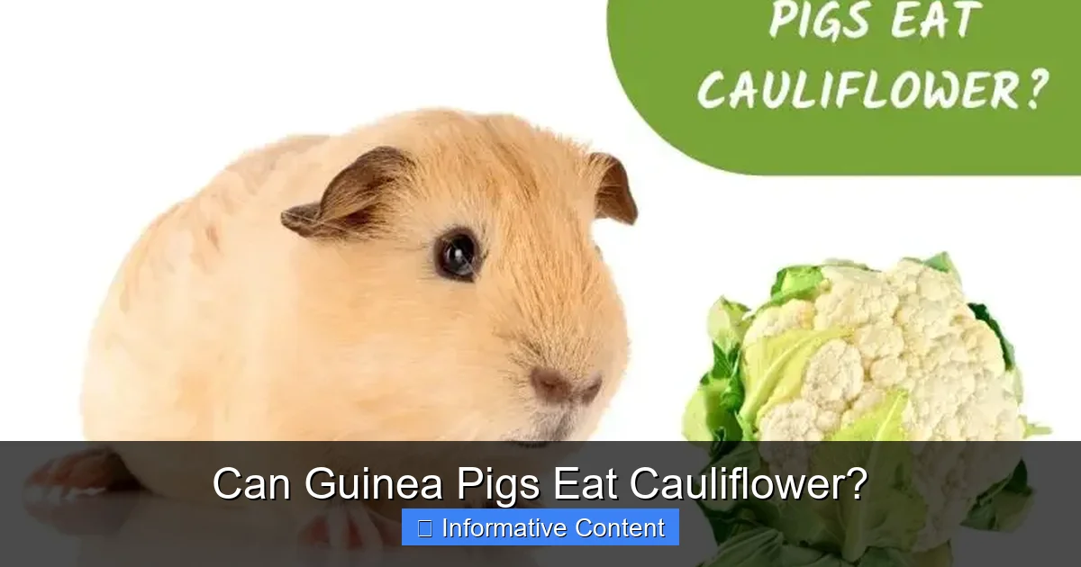 Can Guinea Pigs Eat Cauliflower?