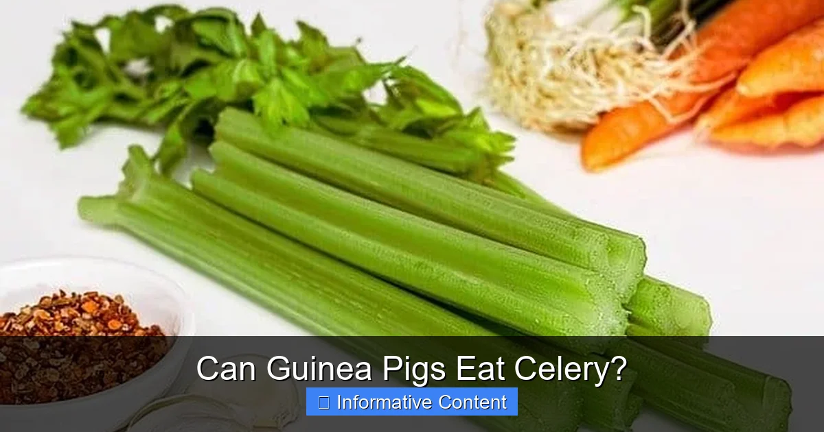 Can Guinea Pigs Eat Celery?