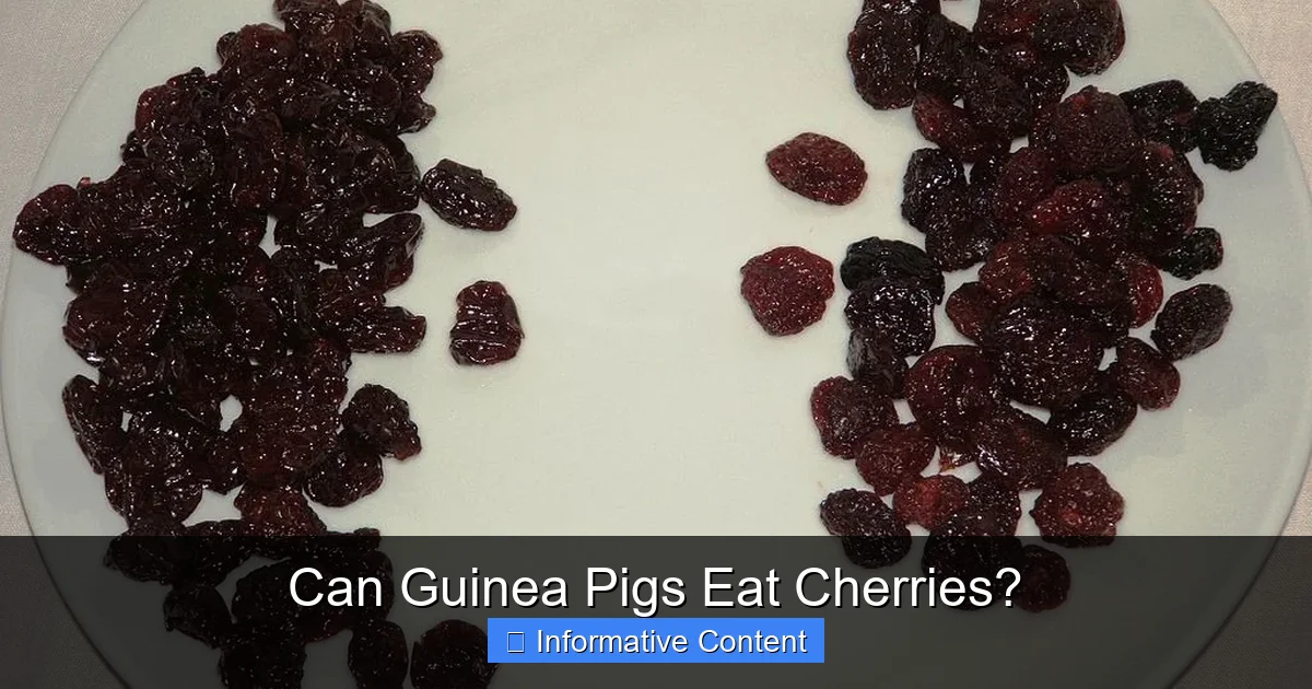 Can Guinea Pigs Eat Cherries?