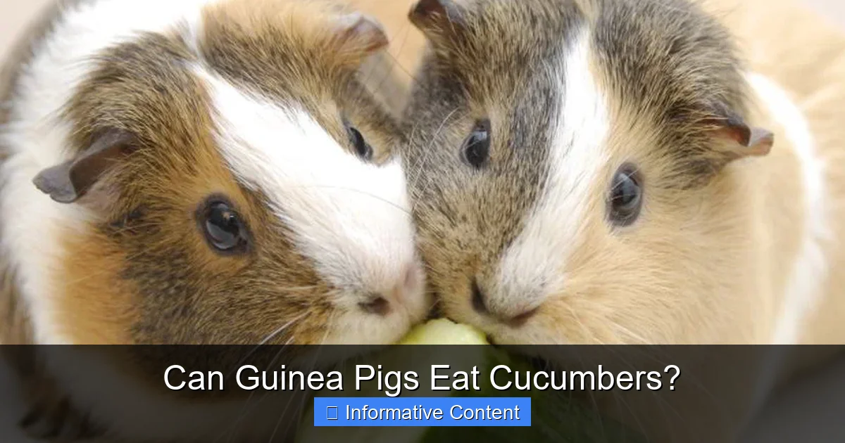 Can Guinea Pigs Eat Cucumbers?