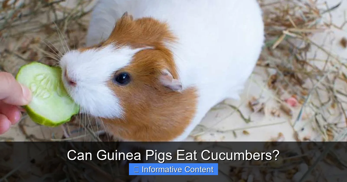 Can Guinea Pigs Eat Cucumbers?