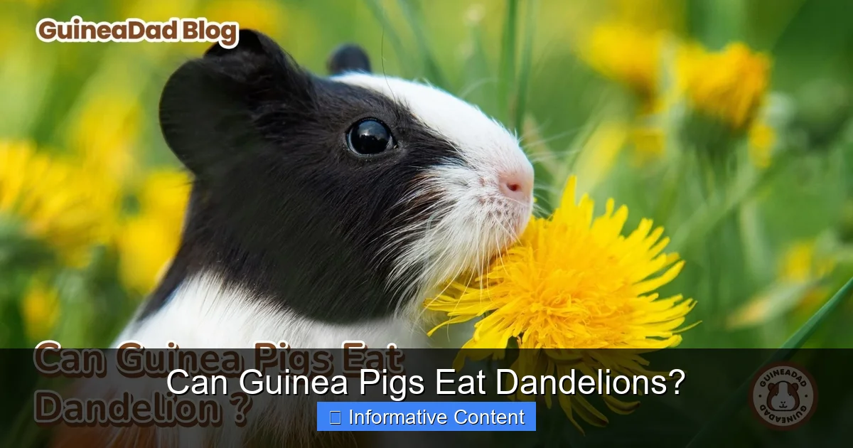 Can Guinea Pigs Eat Dandelions?