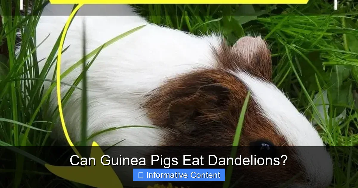 Can Guinea Pigs Eat Dandelions?