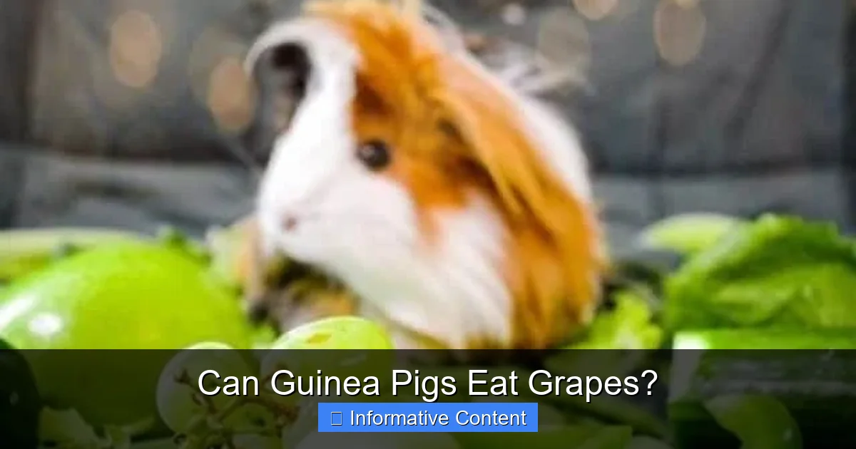 Can Guinea Pigs Eat Grapes?