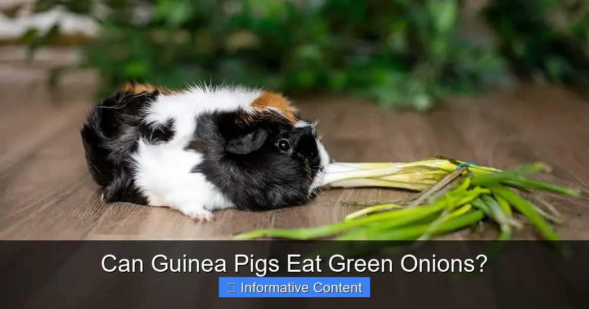 Can Guinea Pigs Eat Green Onions?
