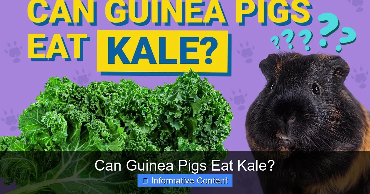 Can Guinea Pigs Eat Kale?