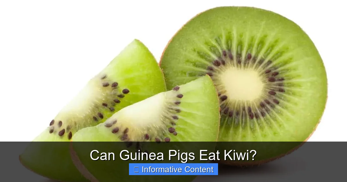 Can Guinea Pigs Eat Kiwi?