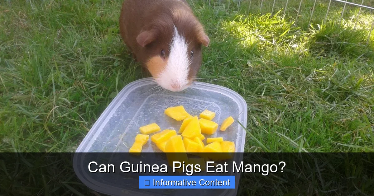 Can Guinea Pigs Eat Mango?