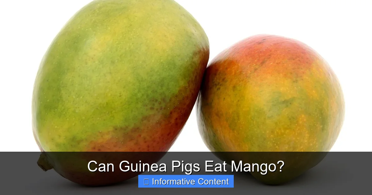 Can Guinea Pigs Eat Mango?
