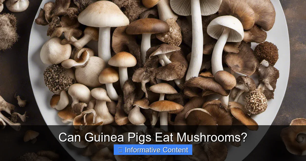 Can Guinea Pigs Eat Mushrooms?