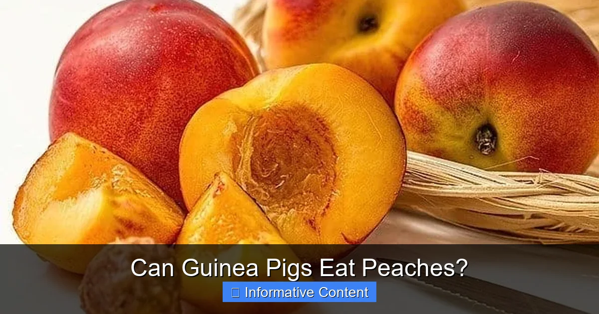 Can Guinea Pigs Eat Peaches?