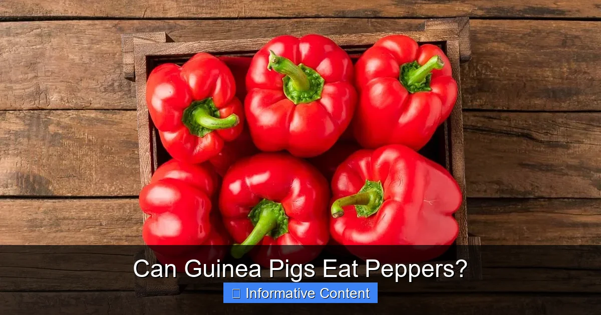 Can Guinea Pigs Eat Peppers?