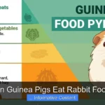 Can Guinea Pigs Eat Rabbit Food?
