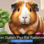 Can Guinea Pigs Eat Radishes?