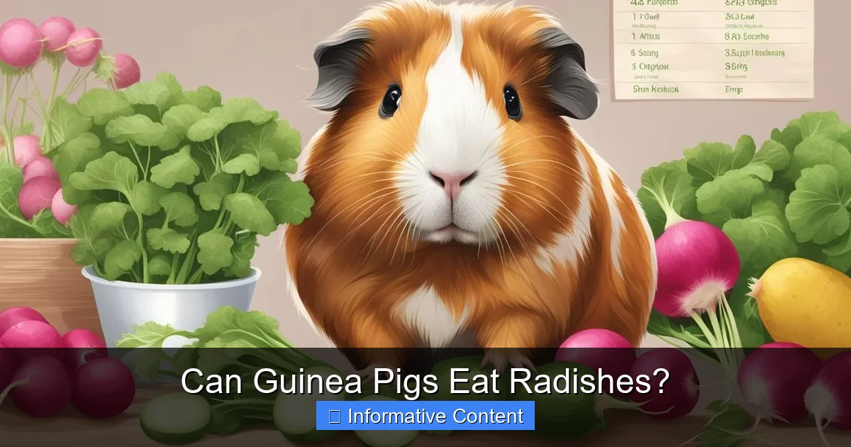 Can Guinea Pigs Eat Radishes?