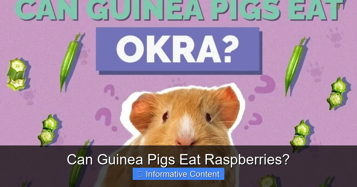 Can Guinea Pigs Eat Raspberries?