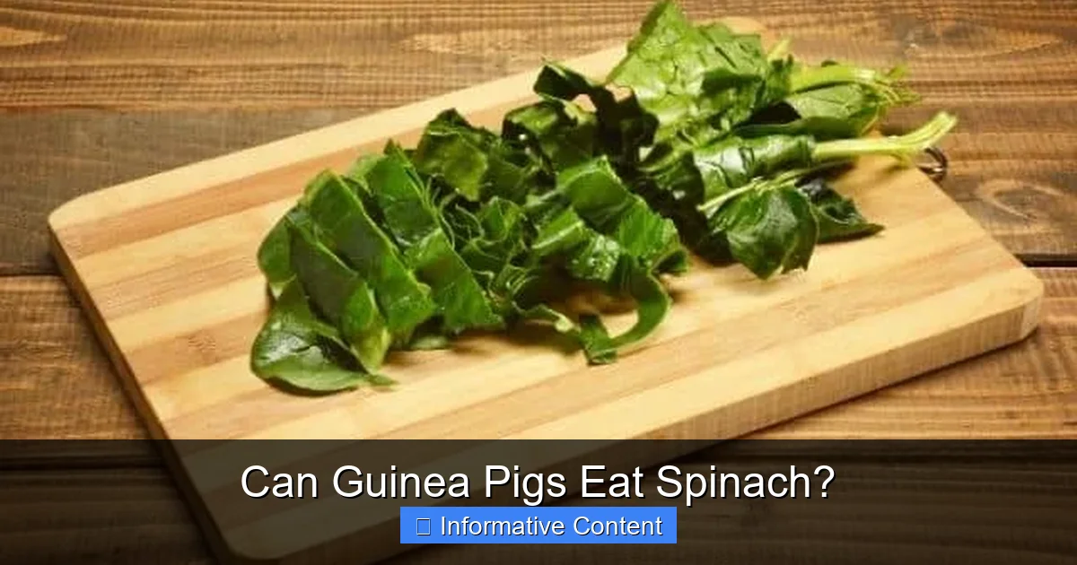 Can Guinea Pigs Eat Spinach?