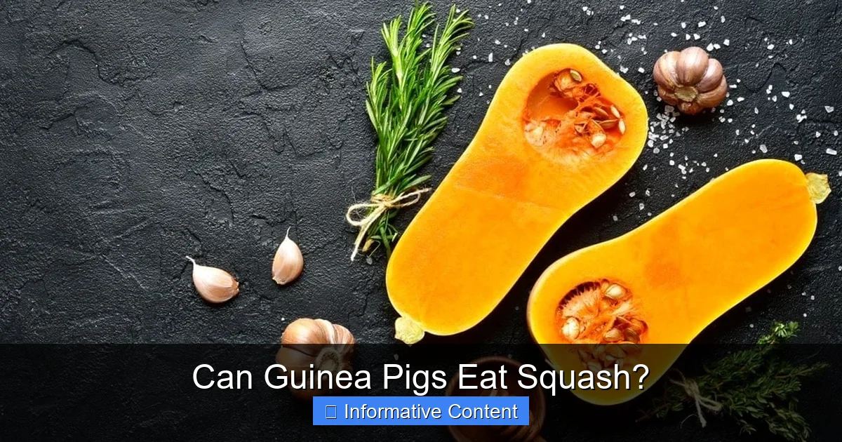 Can Guinea Pigs Eat Squash?