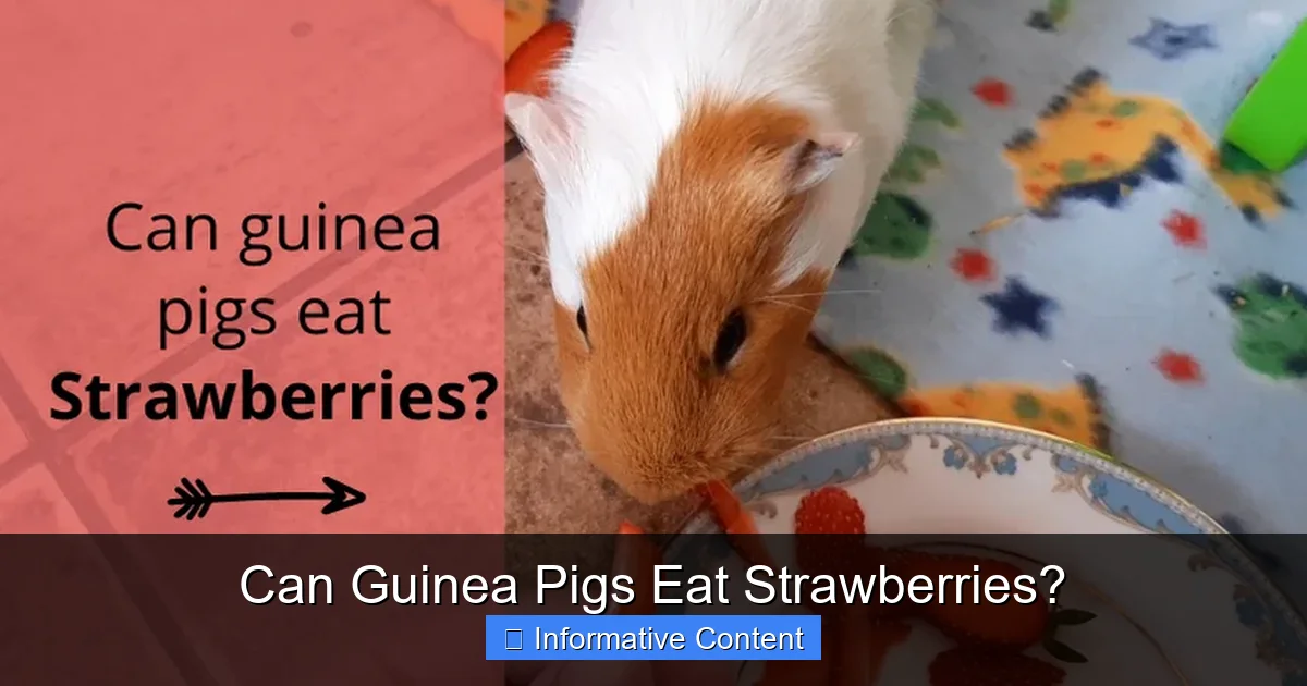Can Guinea Pigs Eat Strawberries?