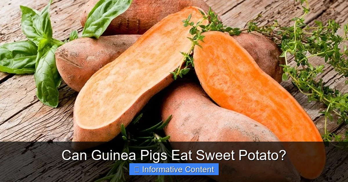 Can Guinea Pigs Eat Sweet Potato?