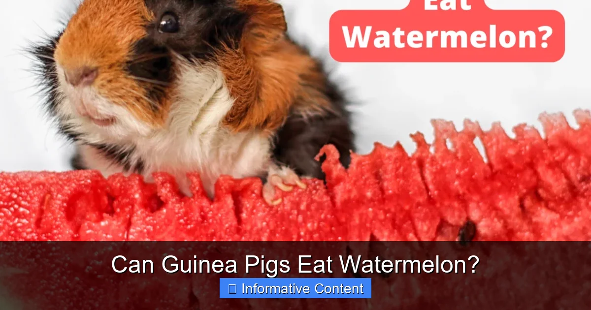 Can Guinea Pigs Eat Watermelon?