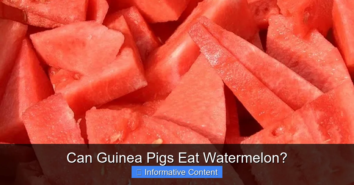 Can Guinea Pigs Eat Watermelon?