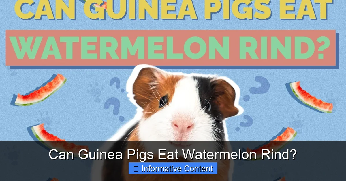 Can Guinea Pigs Eat Watermelon Rind?