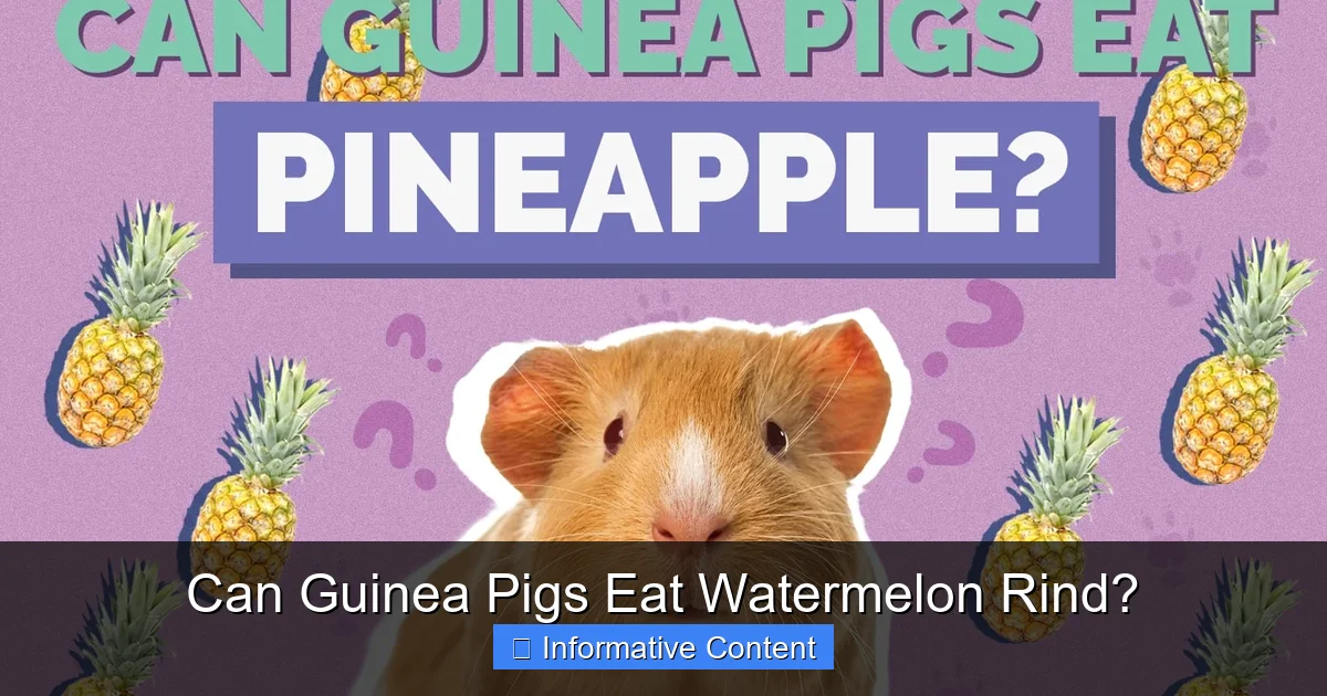 Can Guinea Pigs Eat Watermelon Rind?