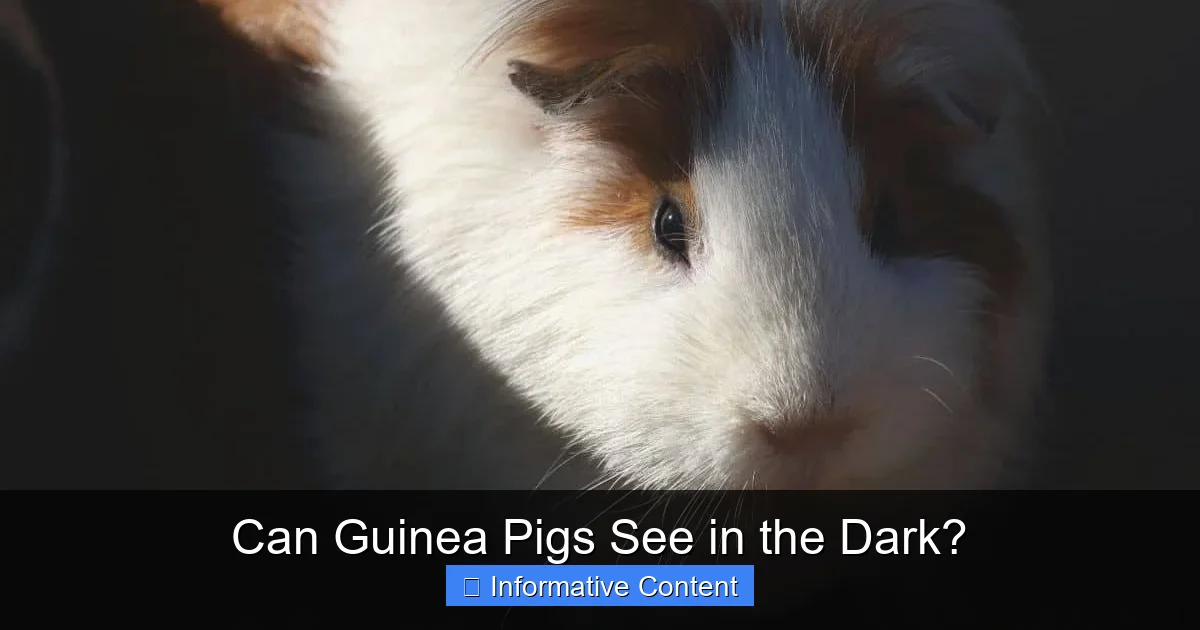 Can Guinea Pigs See in the Dark?
