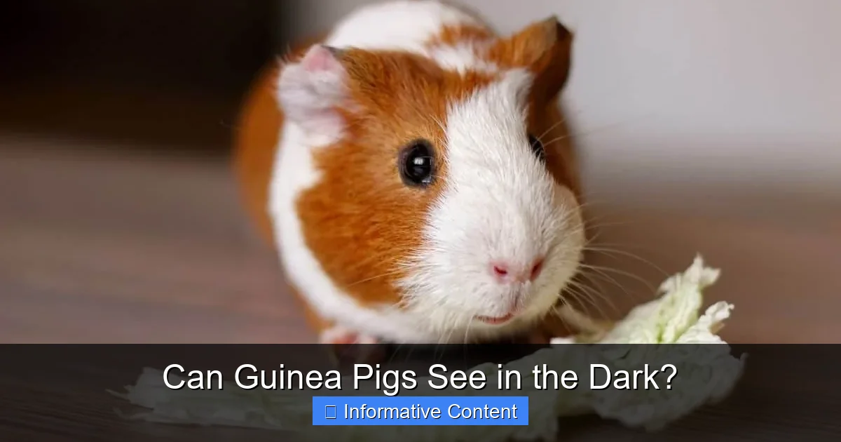 Can Guinea Pigs See in the Dark?