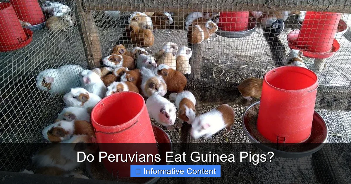 Do Peruvians Eat Guinea Pigs?