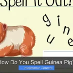 How Do You Spell Guinea Pig?