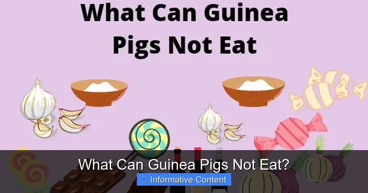 What Can Guinea Pigs Not Eat?