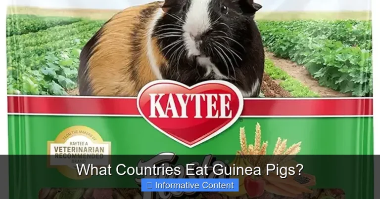 What Countries Eat Guinea Pigs?
