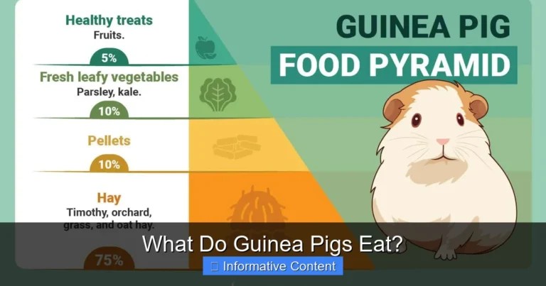 What Do Guinea Pigs Eat?