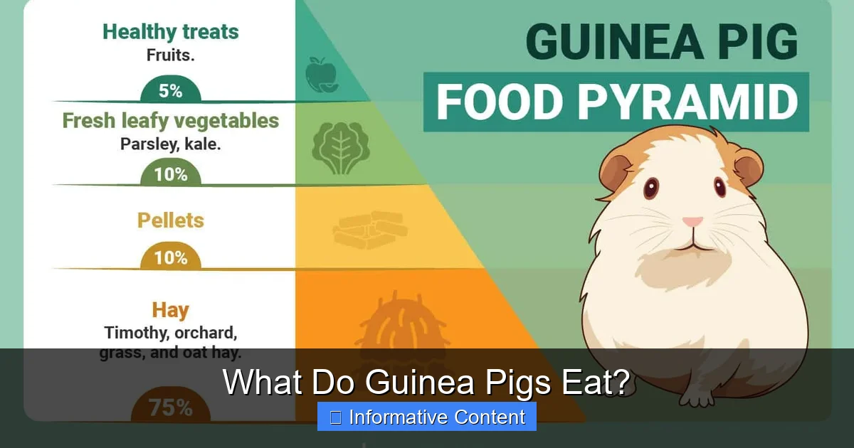 What Do Guinea Pigs Eat?