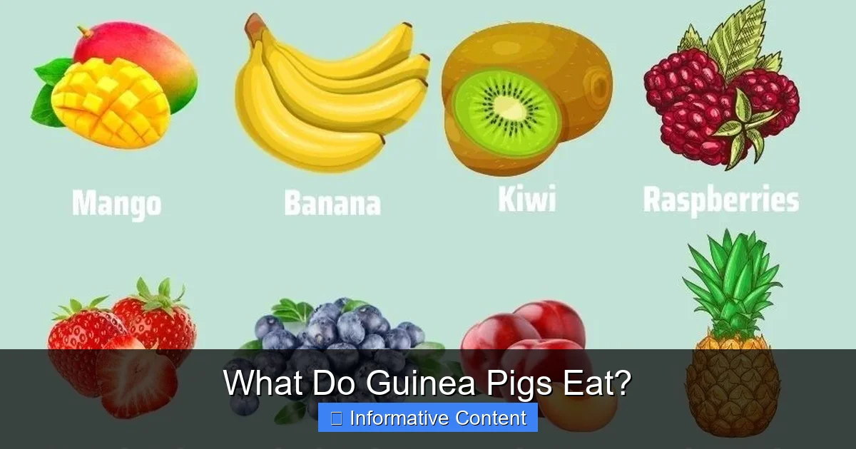 What Do Guinea Pigs Eat?