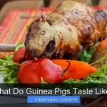 What Do Guinea Pigs Taste Like?