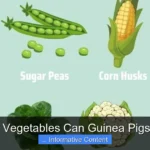 What Vegetables Can Guinea Pigs Eat?